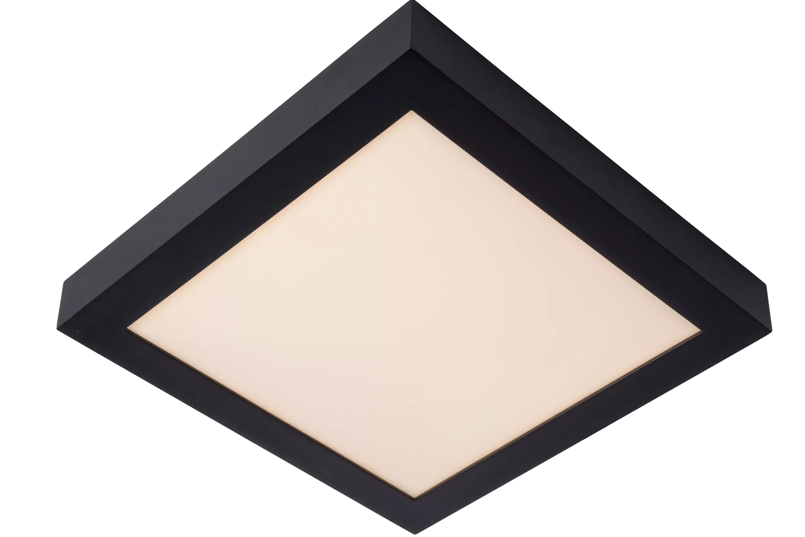 Outlet BRICE-LED - Plafonnière Badkamer - LED Dimb. - 1x30W 3000K - IP44 - Zwart Plafondlampen