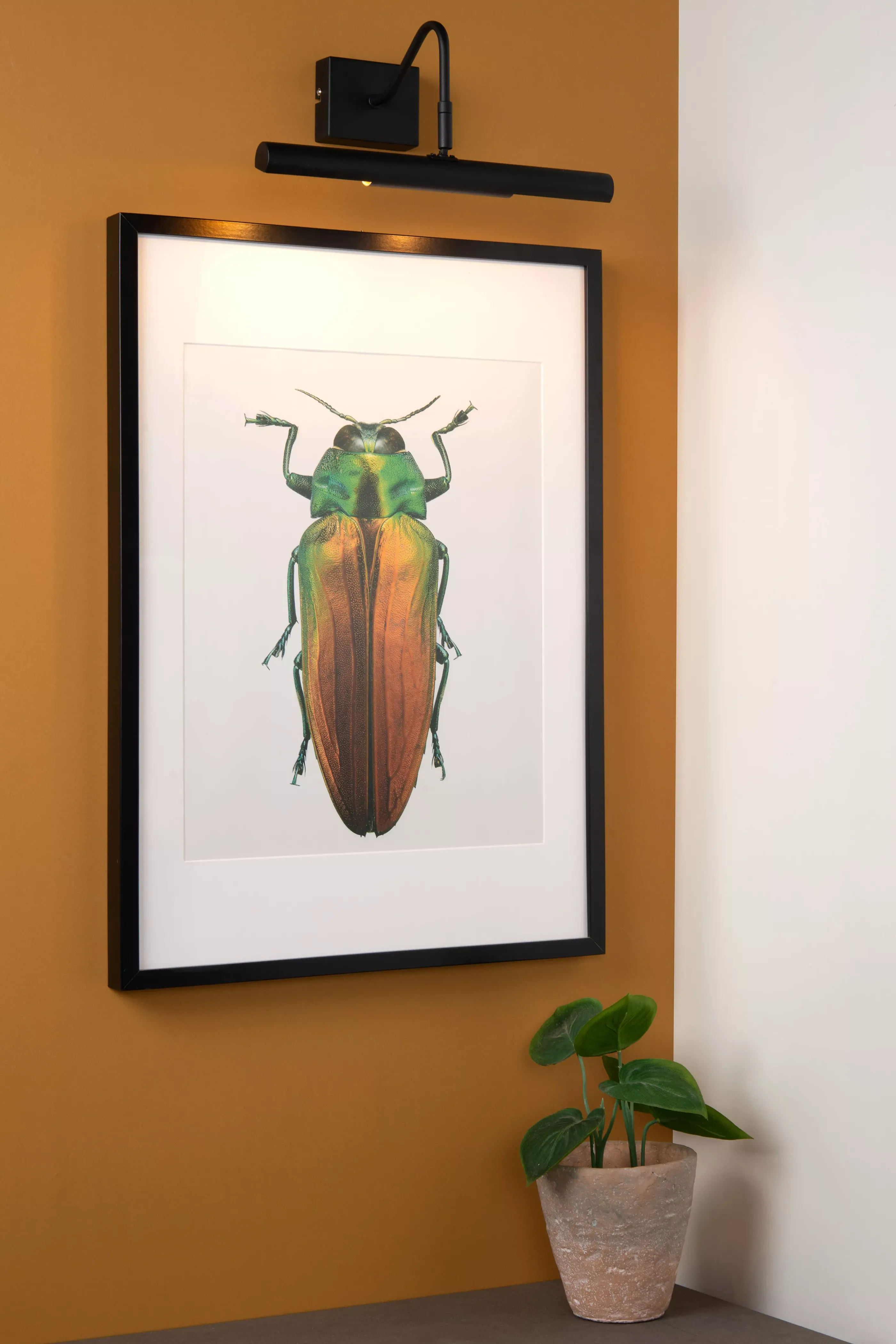 Shop VINZ - Schilderijverlichting - 2xG9 - Zwart Wandverlichting